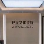 注意！！！野狼传媒网站文章不定时更新，团队课程项目每周更新学员反馈群聊每天都有更新